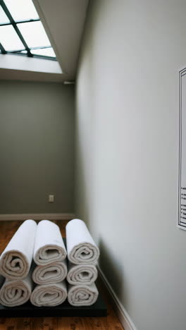 anatomy diagrams on wall