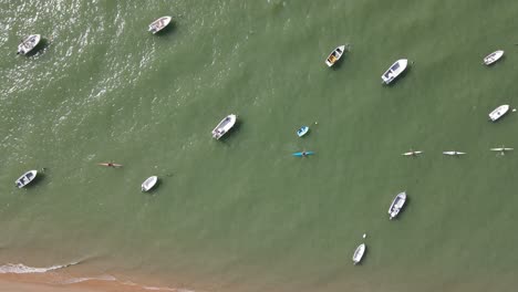 drone footage of the beach of bonanza, at the mouth of the guadalquivir river. there are small fishing boats on the shore and some sport canoes, in the background you can see the doñana natural park.