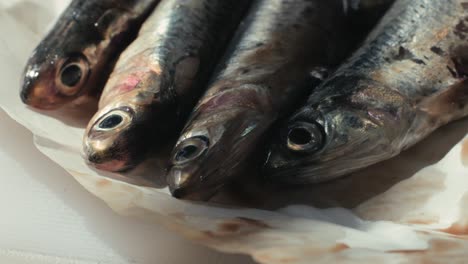 fresh anchovies