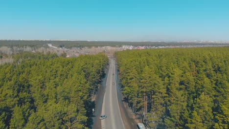 cars drive along grey forest road against city silhouette