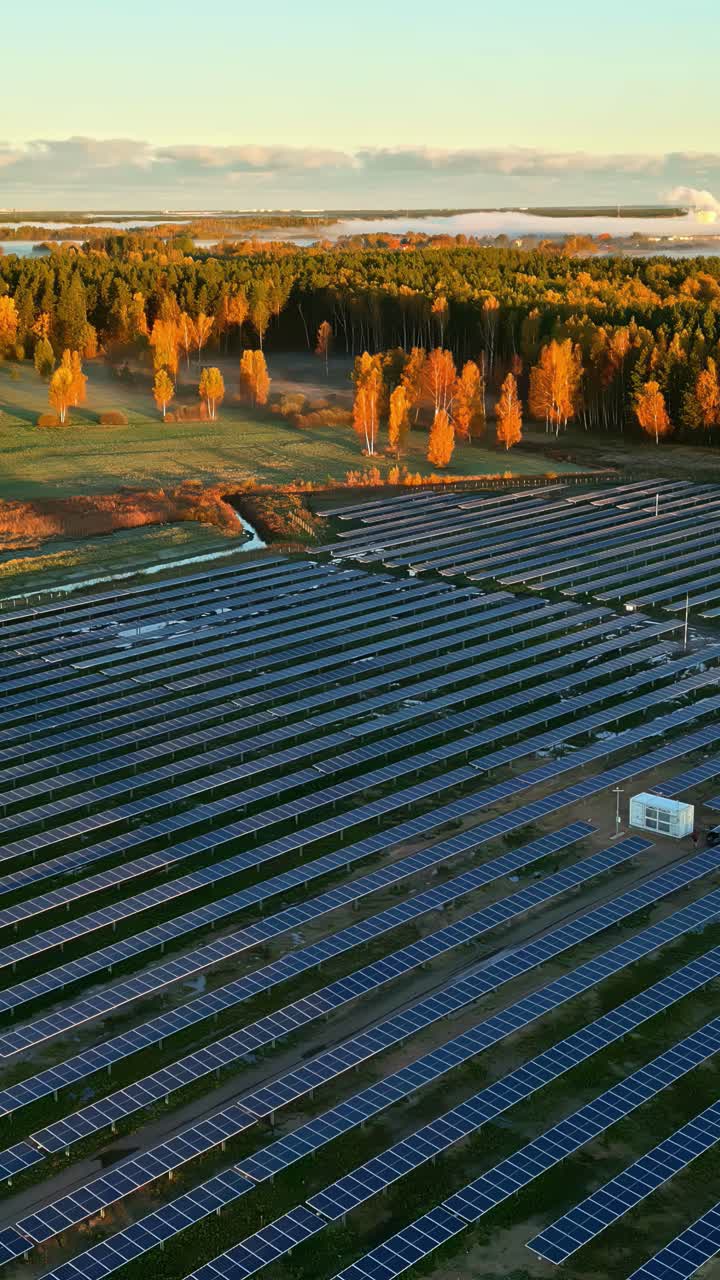 Drone view of solar panel rows on open field with autumn forest under golden evening light
