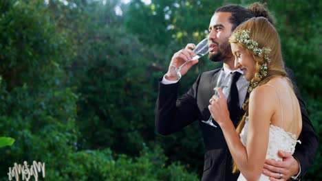 bride and groom having champagne 4k 4k