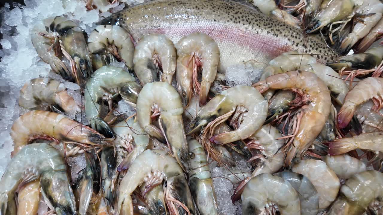 Fresh Shrimp and Salmon on Ice