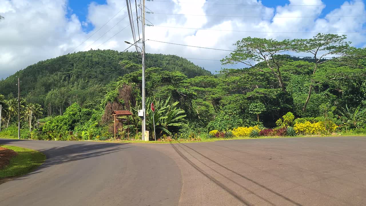 Roadside View with Trees and Foliage