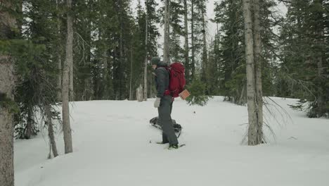 hombre explorando el bosque salvaje en la nieve