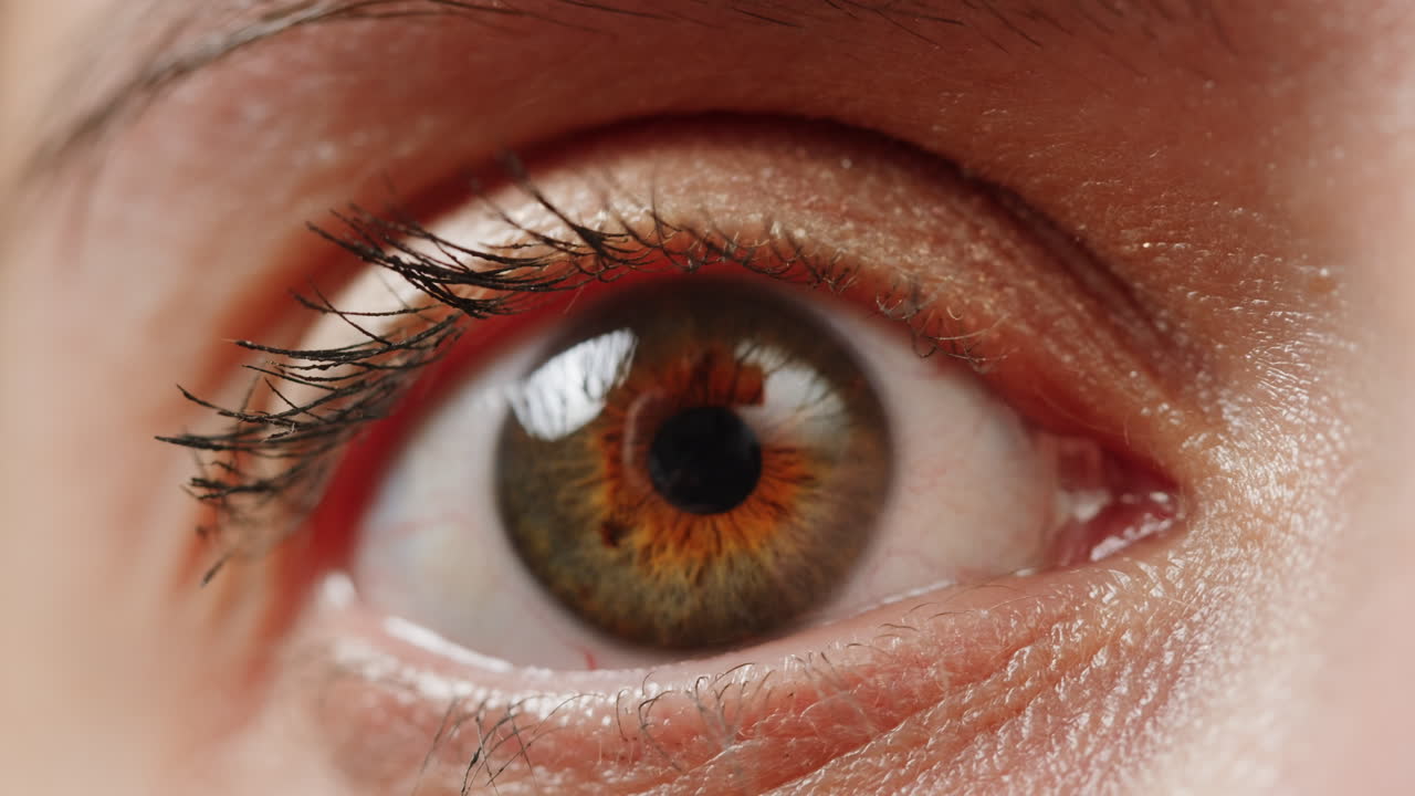 primer plano de un ojo humano