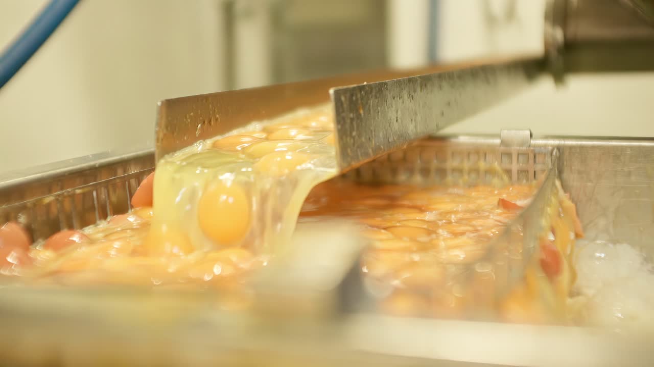 Factory production line handling liquid egg products