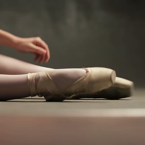 ballet dancer action