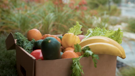 caja de entrega con verduras