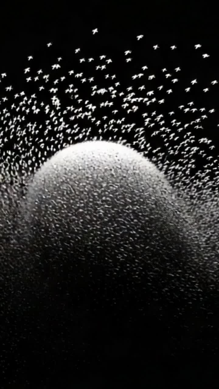 Uno spettacolo ipnotizzante di uccelli in movimento, che crea una scena eterea contro uno sfondo scuro mentre formano forme e motivi in volo sincronizzato.