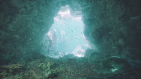 underwater cave with fish