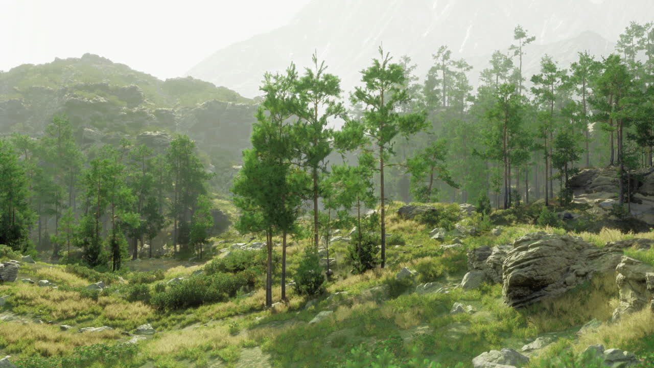 Serene forest landscape with lush greenery and distant mountains in daylight