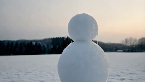 melting snowman in winter landscape