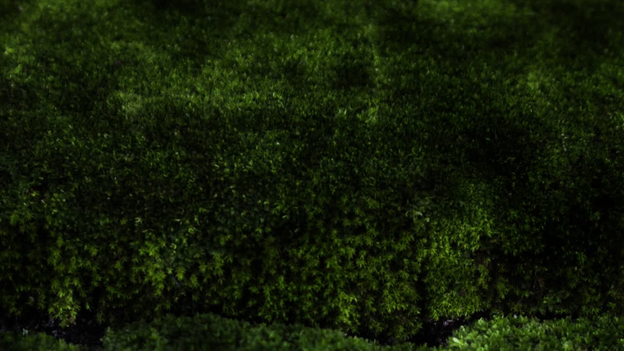 무서운 연기 어두운 벽, 밝은 검은 콘크리트 시멘트 텍스처 배경