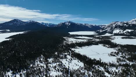 pine tree forest in snow during winter in stanley, idaho