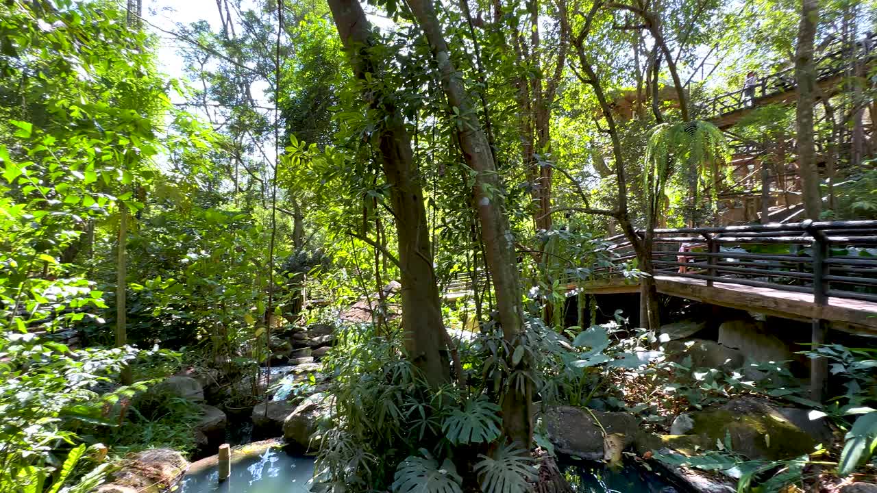 울창 한 초록색 이 평화 로운 나무 길 을 둘러싸고 있다