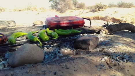 chuletas de cordero a la parrilla asadas sobre brasas en el medio del desierto en un bivouac