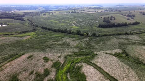 Aerial-Drone-Video-Wind-Damage-To-Rural,-Agrarian-Agricultural-Crops-And-Farmland-In-The-Midwest-Heartland-Of-Iowa