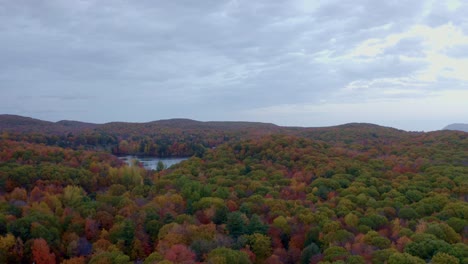 Aerial-shot-of-a-colourful-forest-in-fall-in-Canada