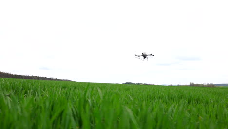 agriculture drone flying above green crops in farming field, wide view