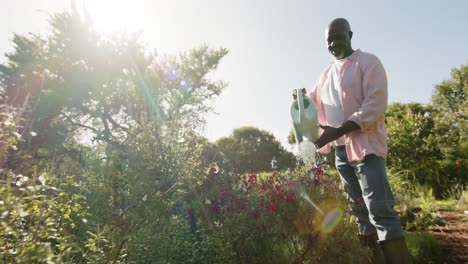 Feliz-Hombre-Afroamericano-Regando-Plantas-En-Un-Jardín-Soleado,-Cámara-Lenta