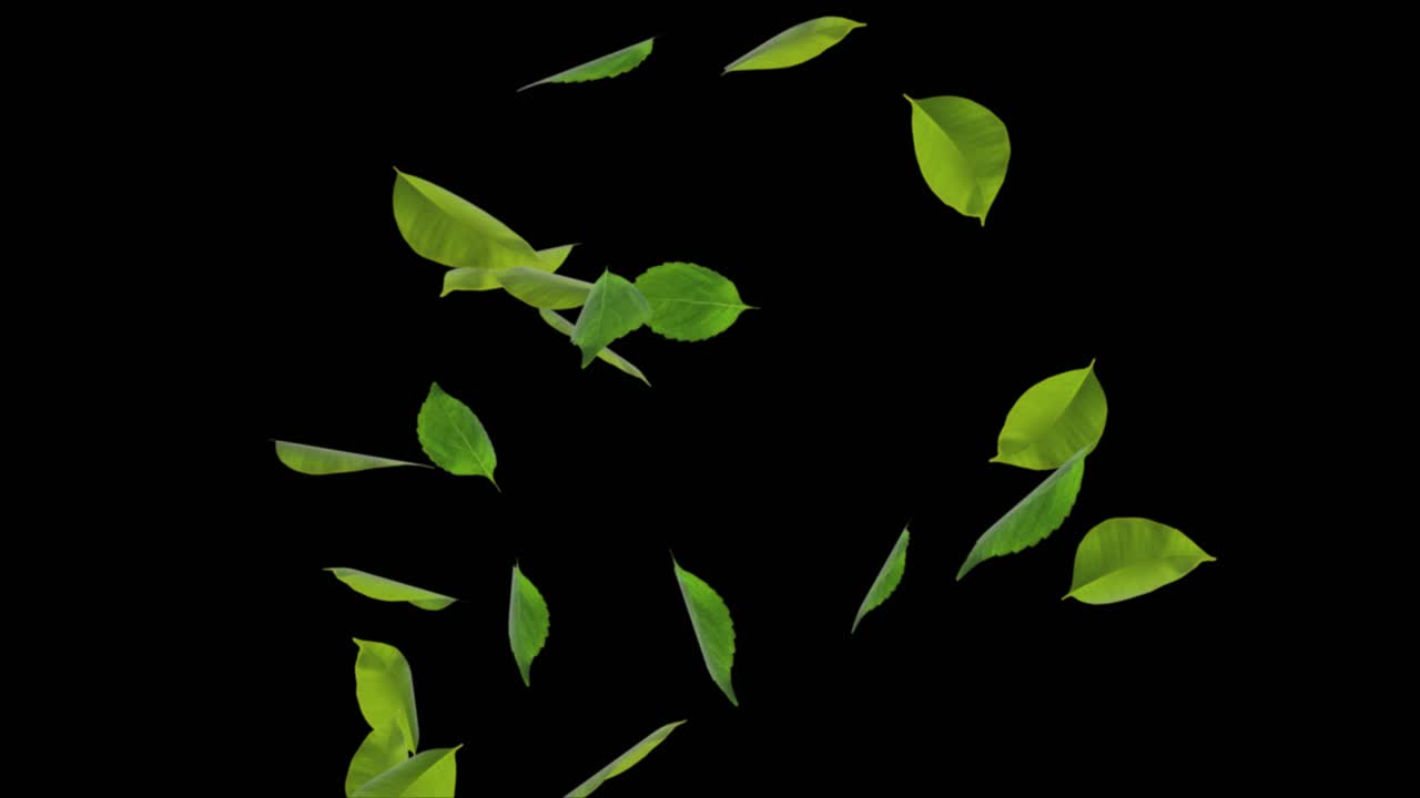 Falling Leaves Animation