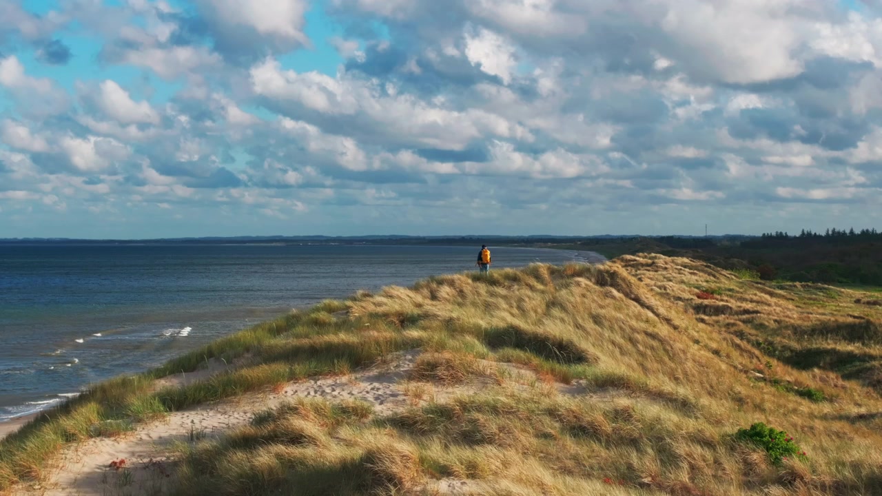 Droneudsigt over kystnære klitter og marehalm langs Skagen Kyst, Danmark.