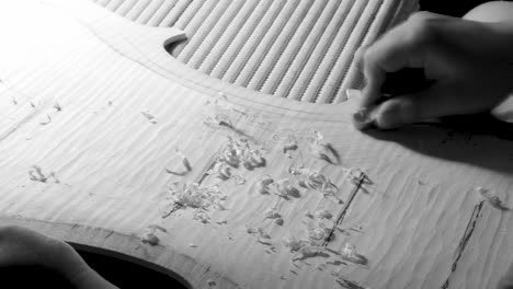 stringed instrument maker master luthier artisan hand proceed with graduation work on cello back plate, divide wood in areas to carve different thickness with planes, wood chips and curls pile up