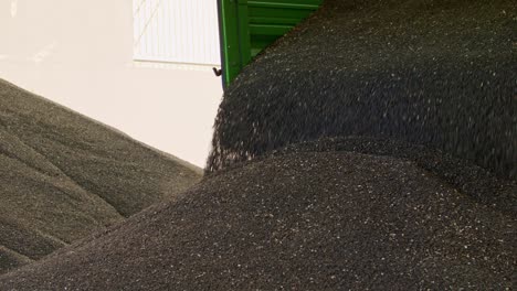 extreme close-up of unloading sunflower seeds from the trailer after harvesting