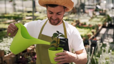 cute male gardener waters a plant in a flowerpot with a watering can on the background of a greenhouse