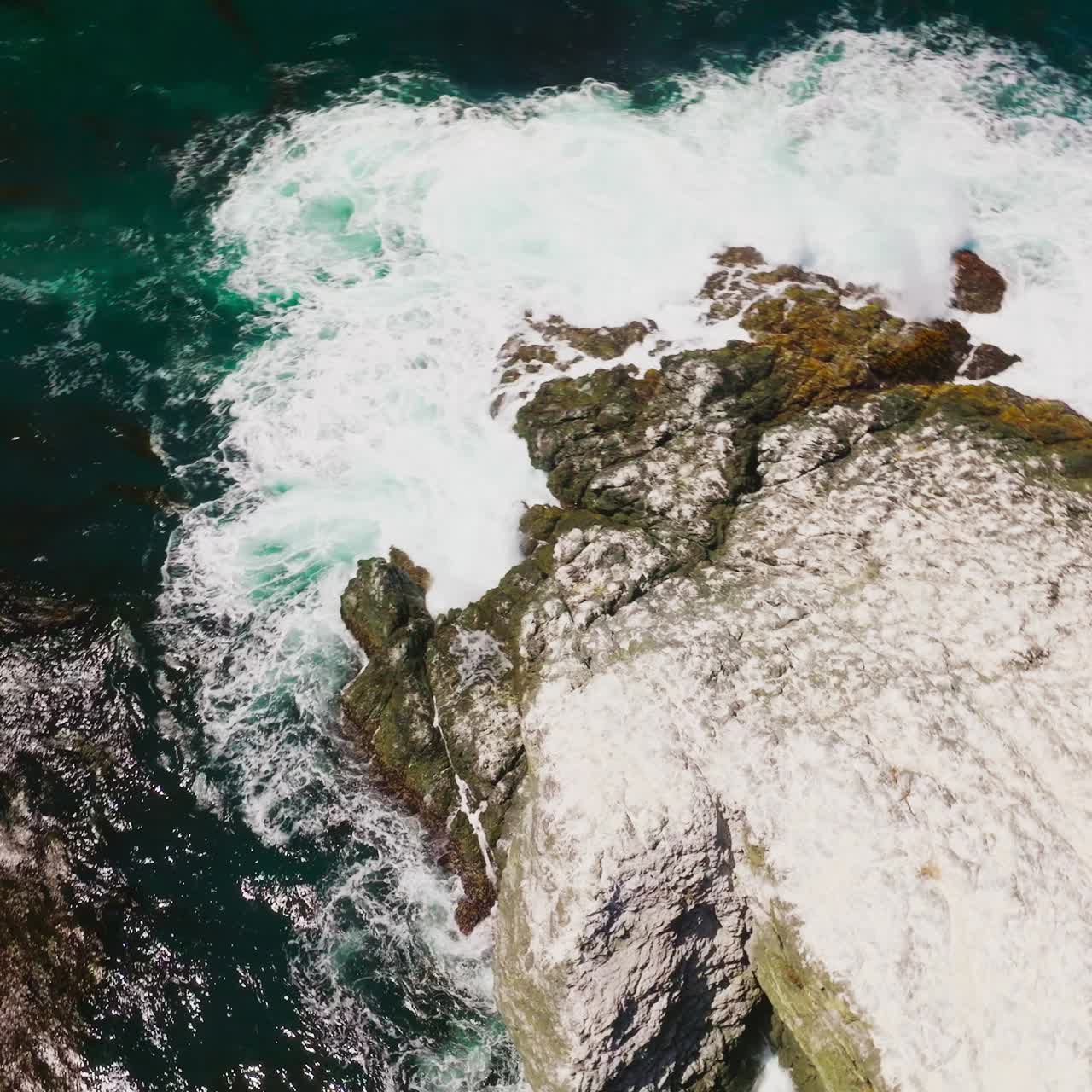 Onde bianche e spumose di acqua color acquamarina che si infrangono sulla roccia ricoperta di sale. Accumulo di alghe marroni sulla superficie dell'oceano sulla costa della California. Vista dall'alto