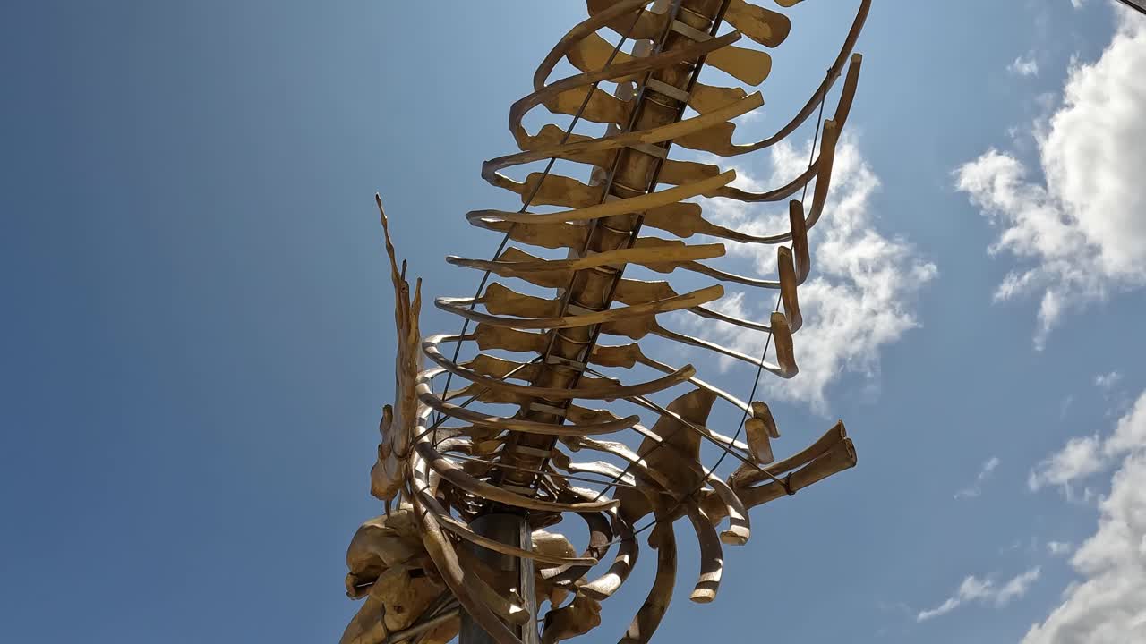 카나리 제도 테네리페 의 로스 실로스 에 있는 고래 골격 - 느린 영상