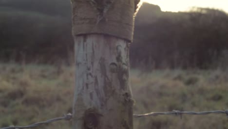 wooden and barbed wire fence at sunset