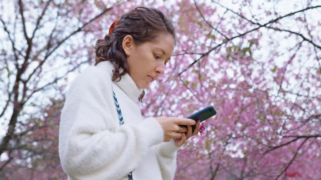 Woman using phone amidst cherry blossoms