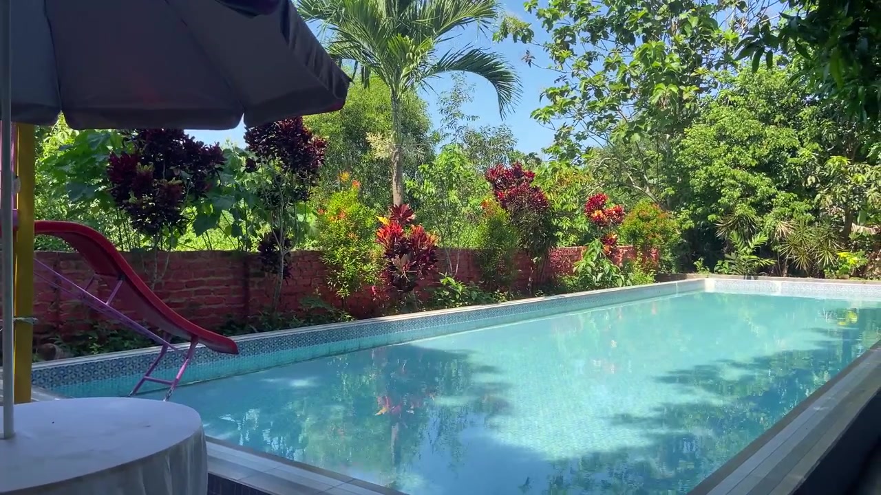 Udendørs swimmingpool omgivet af tropiske planter på en solrig dag