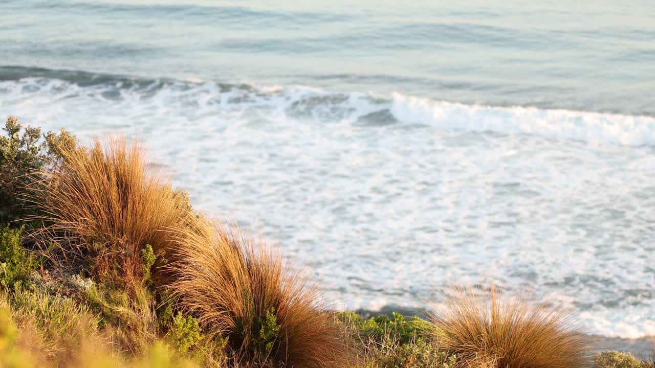 멜버른 의 해안 잔디 근처 에 파도 가 부히는 것