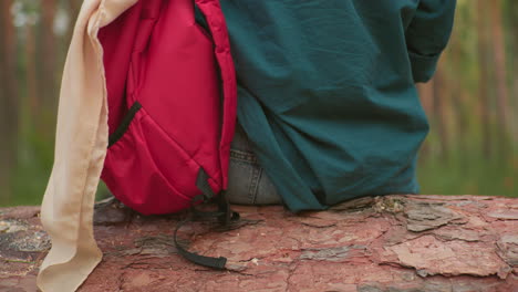 back view of hiker with red backpack resting on fallen tree in peaceful forest setting, wearing green shirt and jeans, hiker embraces natural surroundings