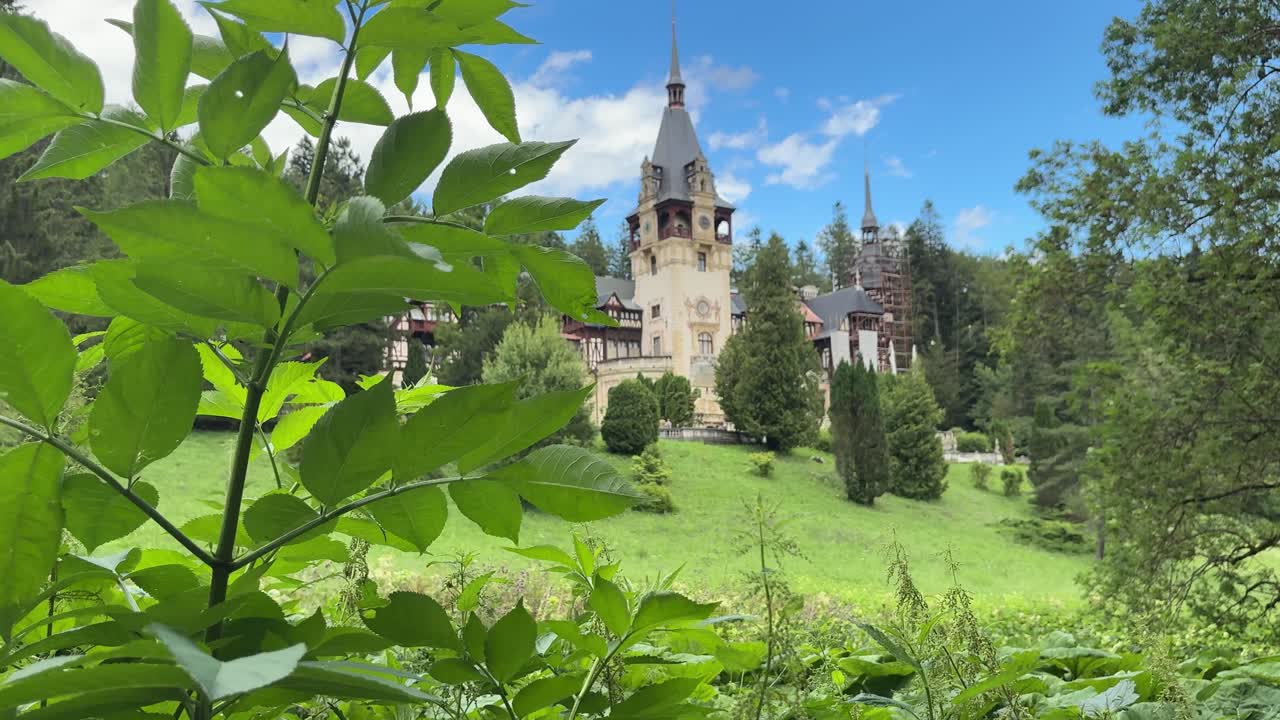 Picturesque Peles castle revealed behind the vegetation