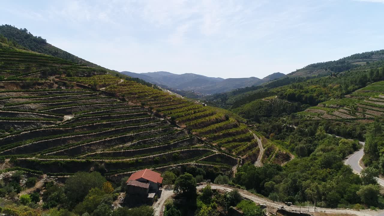 Mountain Terrace Vineyards in Douro Region North of Portugal