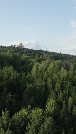 vista del bosque con una iglesia en una colina