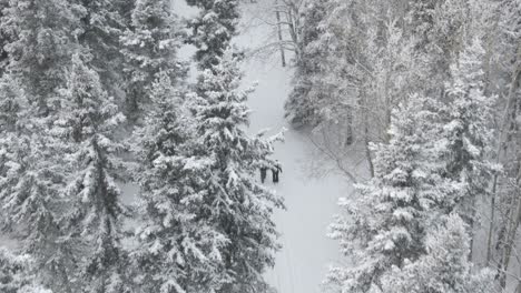 2 people walking on a frozen forest trail from above