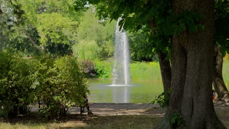 Fuente-En-Medio-Del-Lago-En-Türkenschanzpark-En-Viena-Rodeada-De-Vegetación-Y-árboles