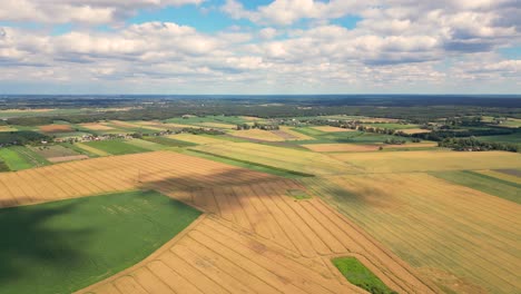 Luftaufnahme-Mit-Der-Landschaftsgeometriestruktur-Vieler-Landwirtschaftlicher-Felder-Mit-Verschiedenen-Pflanzen-Wie-Raps-In-Der-Blütezeit-Und-Grünem-Weizen