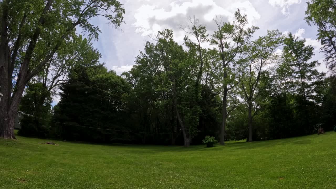 아름다운 화창한 날과 뒤뜰 시간 경과