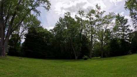 backyard time lapse with beautiful sunny day
