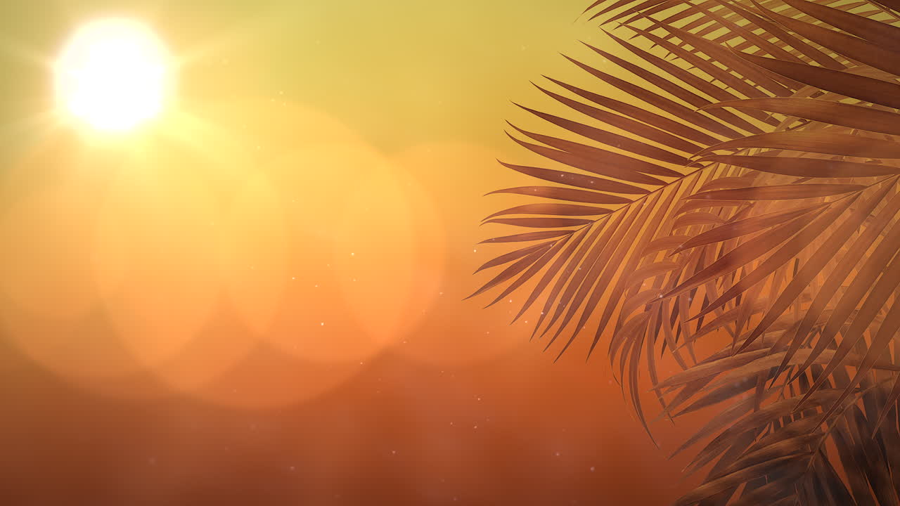 панорамный вид на тропический пейзаж с пальмами и закатом 6