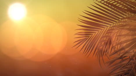 panoramic view of tropical landscape with palm trees and sunset 6