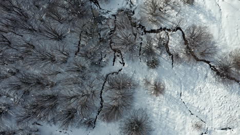 Un-Bosque-Nevado-Con-Arroyos-Sinuosos-Y-árboles-Desnudos,-Vista-Aérea