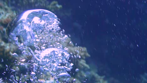 rising air bubbles under water in slow motion