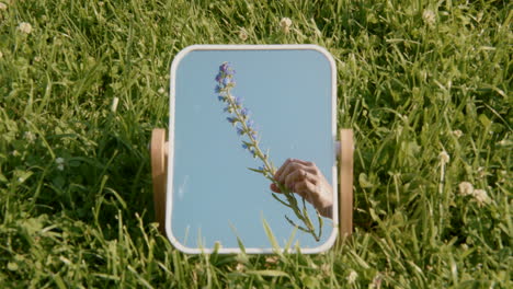 a hand holding a flower reflected in a mirror placed on grass